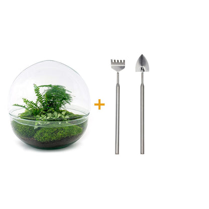 DIY Planten terrarium tweedelig bolglas | Dome XL | Rake + Shovel