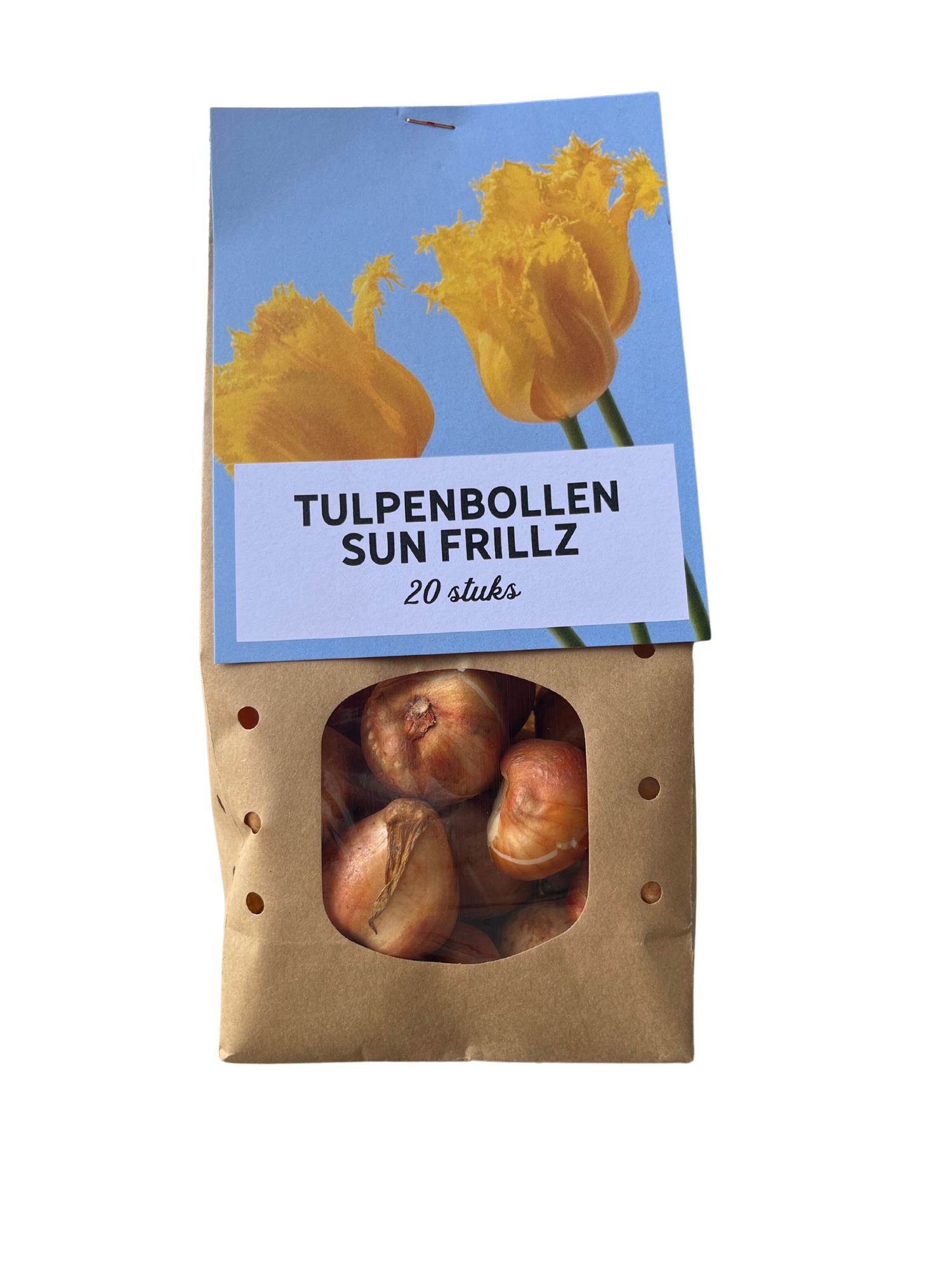 Tulpenbollen Sun Frillz – set van 20 gele tulpen met gekartelde bloembladeren, speels en opvallend, geschikt voor tuin, border of pot. Tulptoday