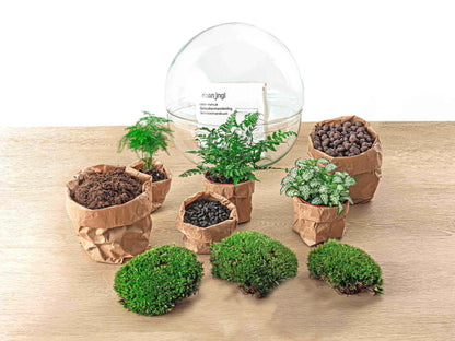 DIY Planten Terrarium Tweedelig Bolglas | Dome XL