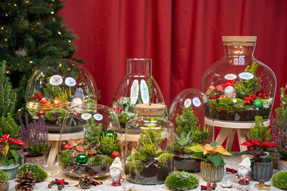 Kerst terrarium met groene planten en winterdecoratie