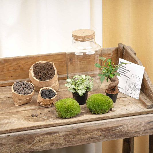Planten terrarium Little Milky DIY ecosysteem met LED-kurk