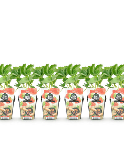 Winterharde aardbeiplant met rode vruchten voor balkon en tuin