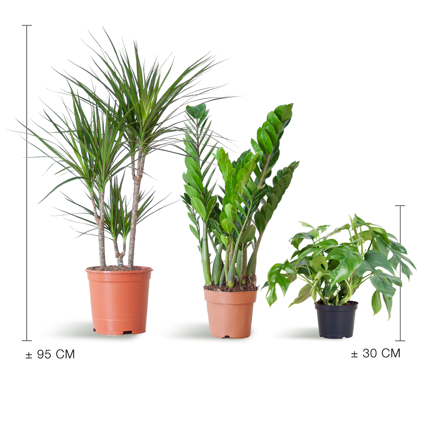 3 x Schaduw Plantenbox | Kamerplanten | zonder sierpot