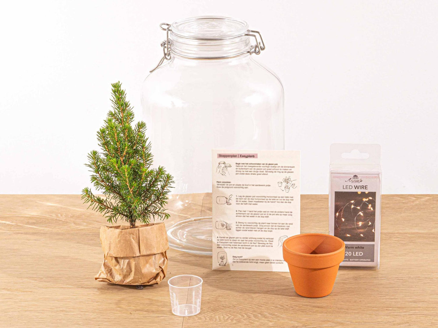 Easyplant | Kerst decoratie
