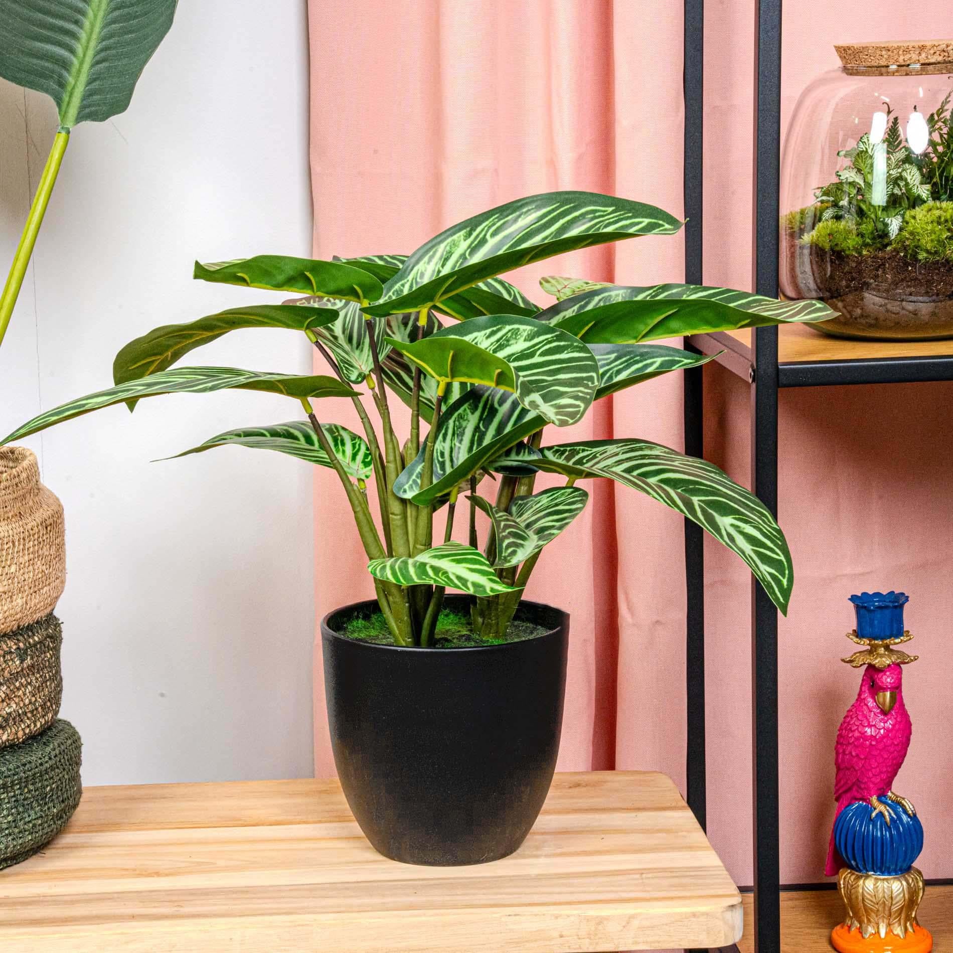 Calathea Zebrina kunstplant van 42 cm hoog in zwarte pot, met realistische fluweelzachte bladeren en zebrapatroon.