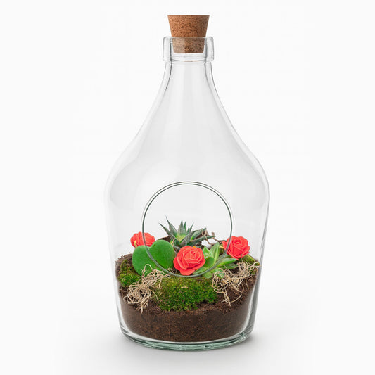 Romantisch open terrarium met hartplant en vetplanten