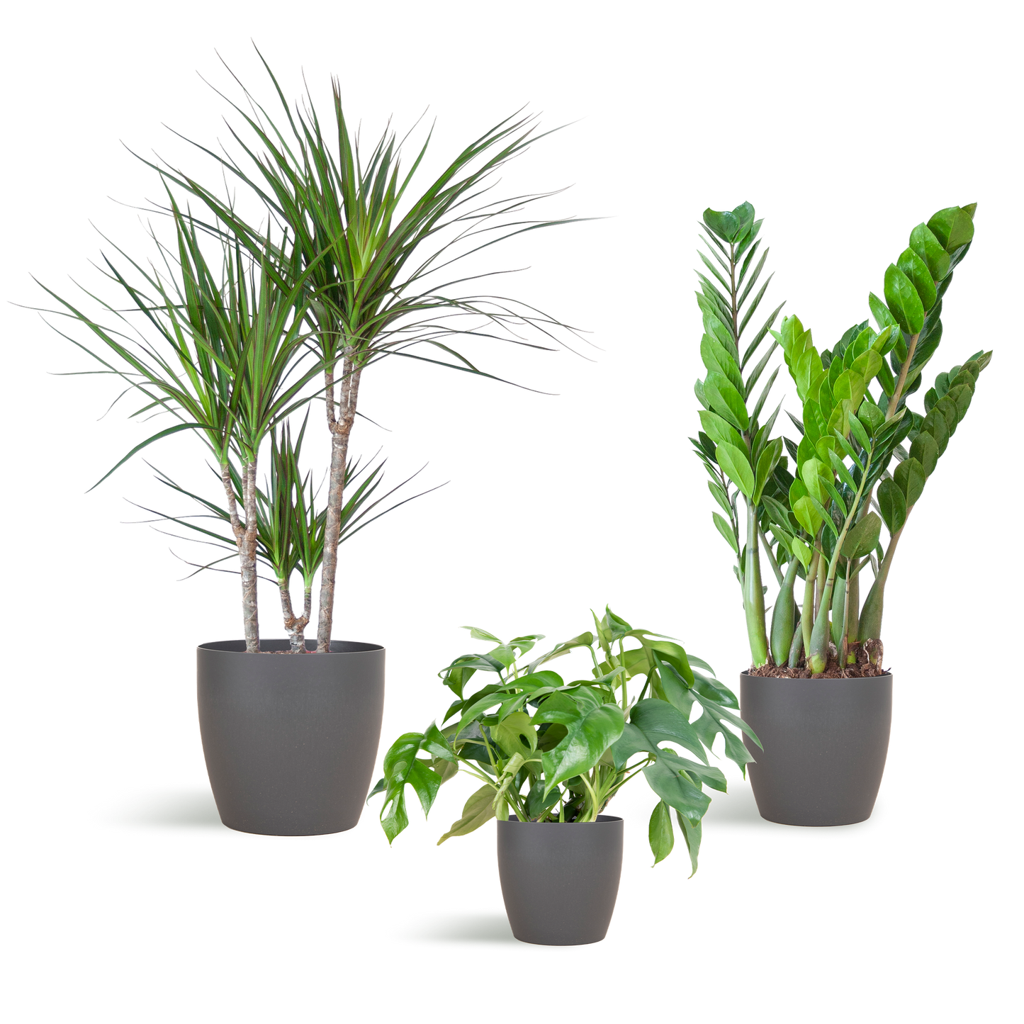 Schaduw Planten box met vibers pot grijs