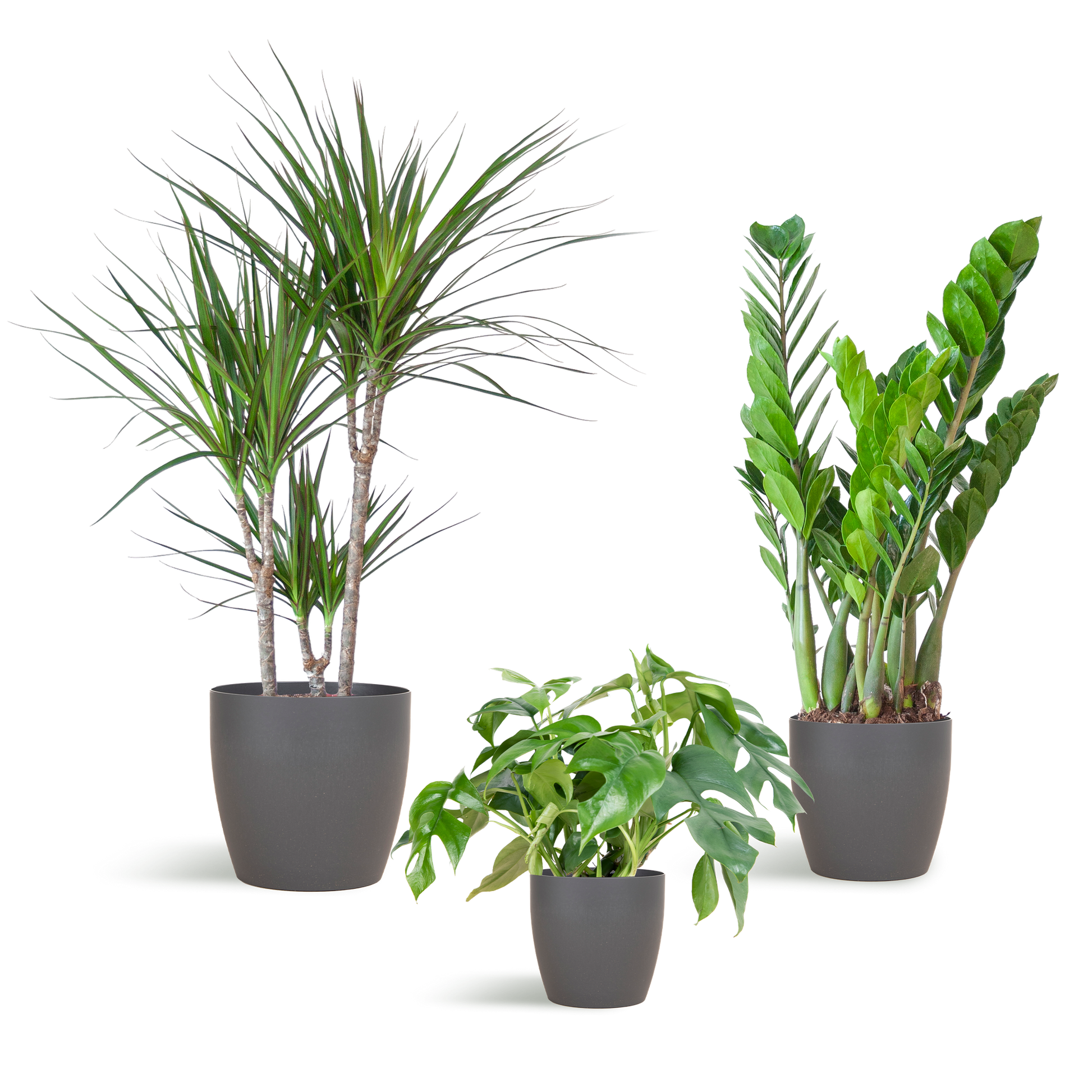 Schaduw Planten box met vibers pot grijs