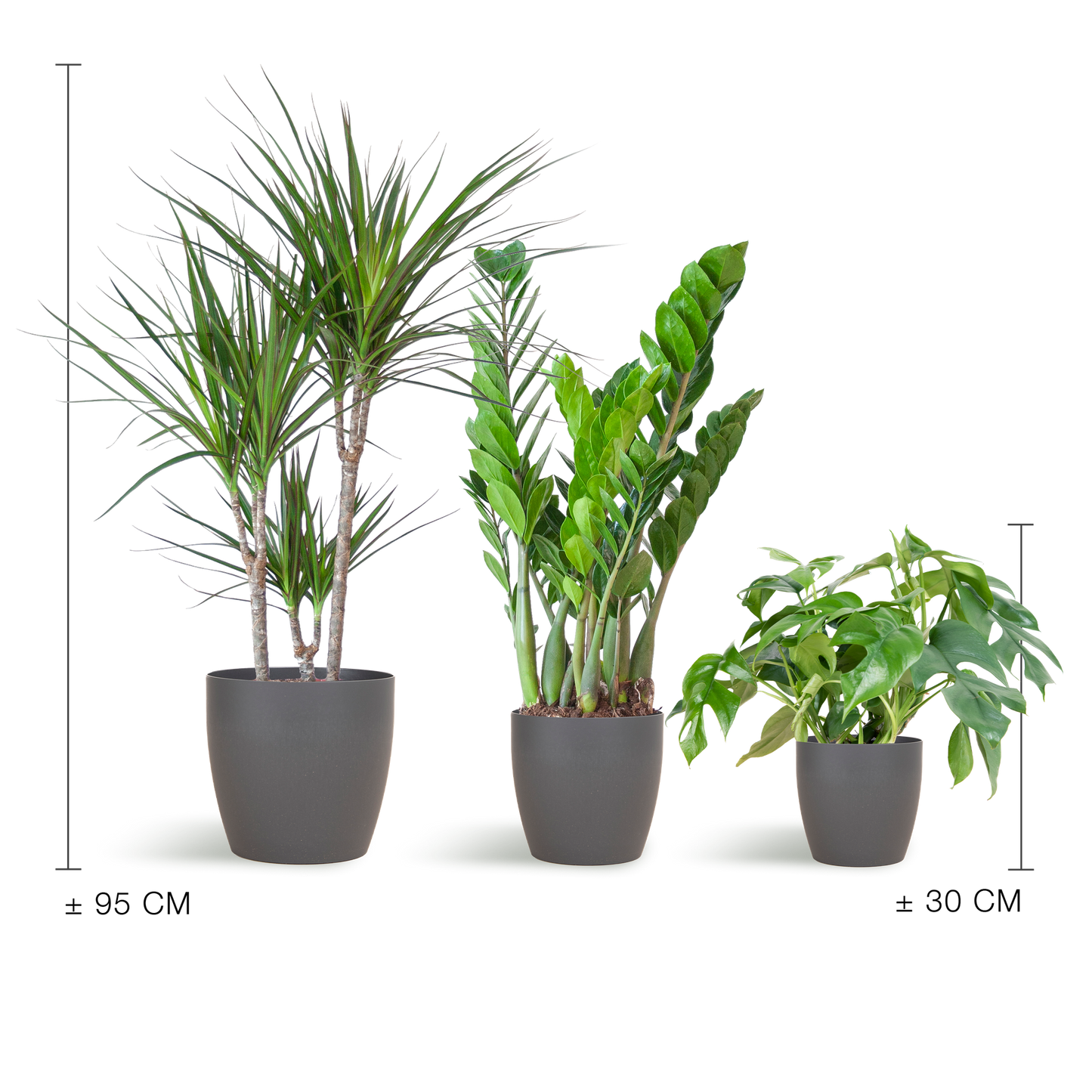 Schaduw Plantenbox | met vibers pot grijs