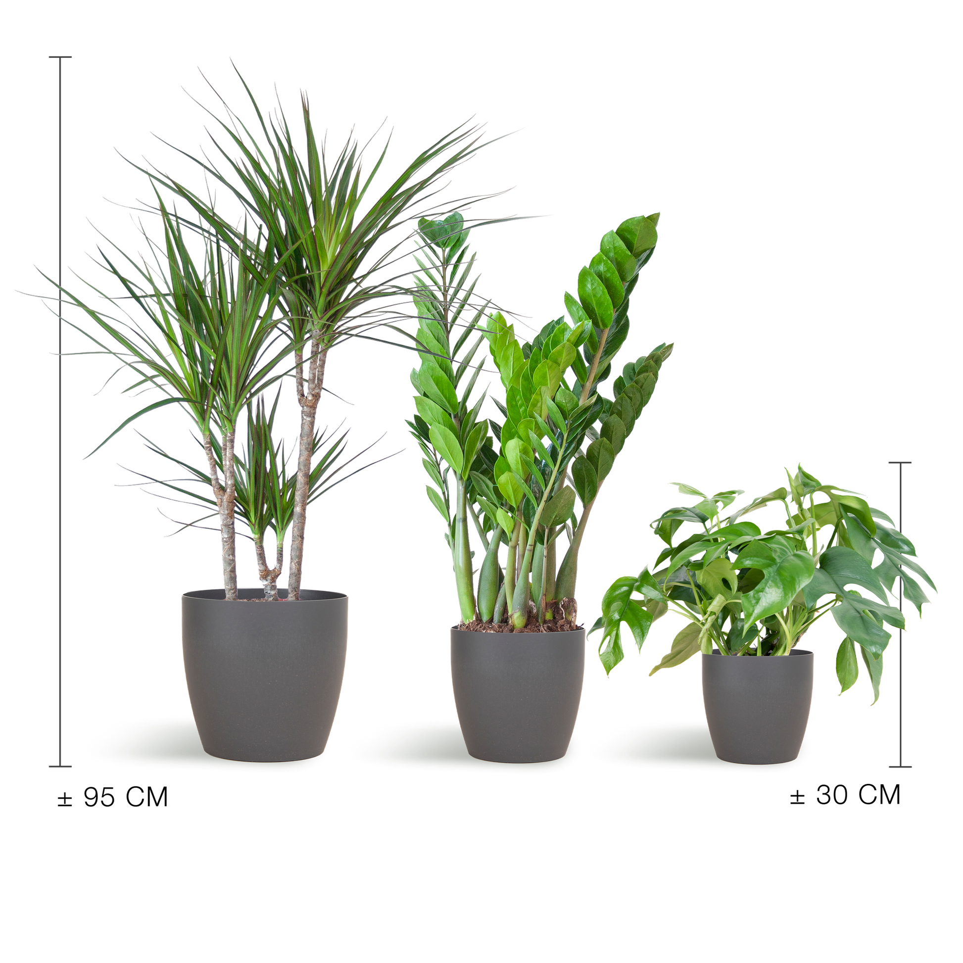 Schaduw Plantenbox | met vibers pot grijs