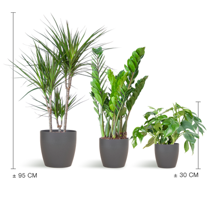 Schaduw Plantenbox | met vibers pot grijs