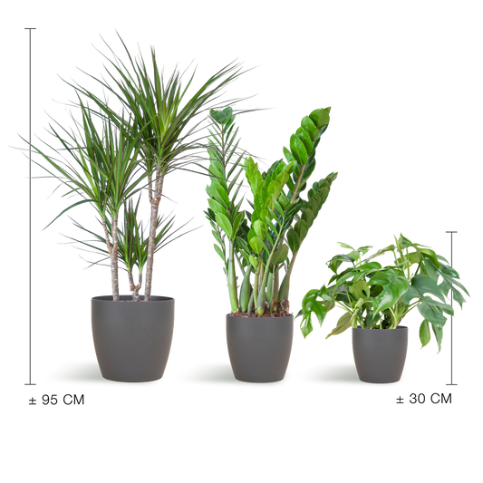 Schaduw Plantenbox | met vibers pot grijs