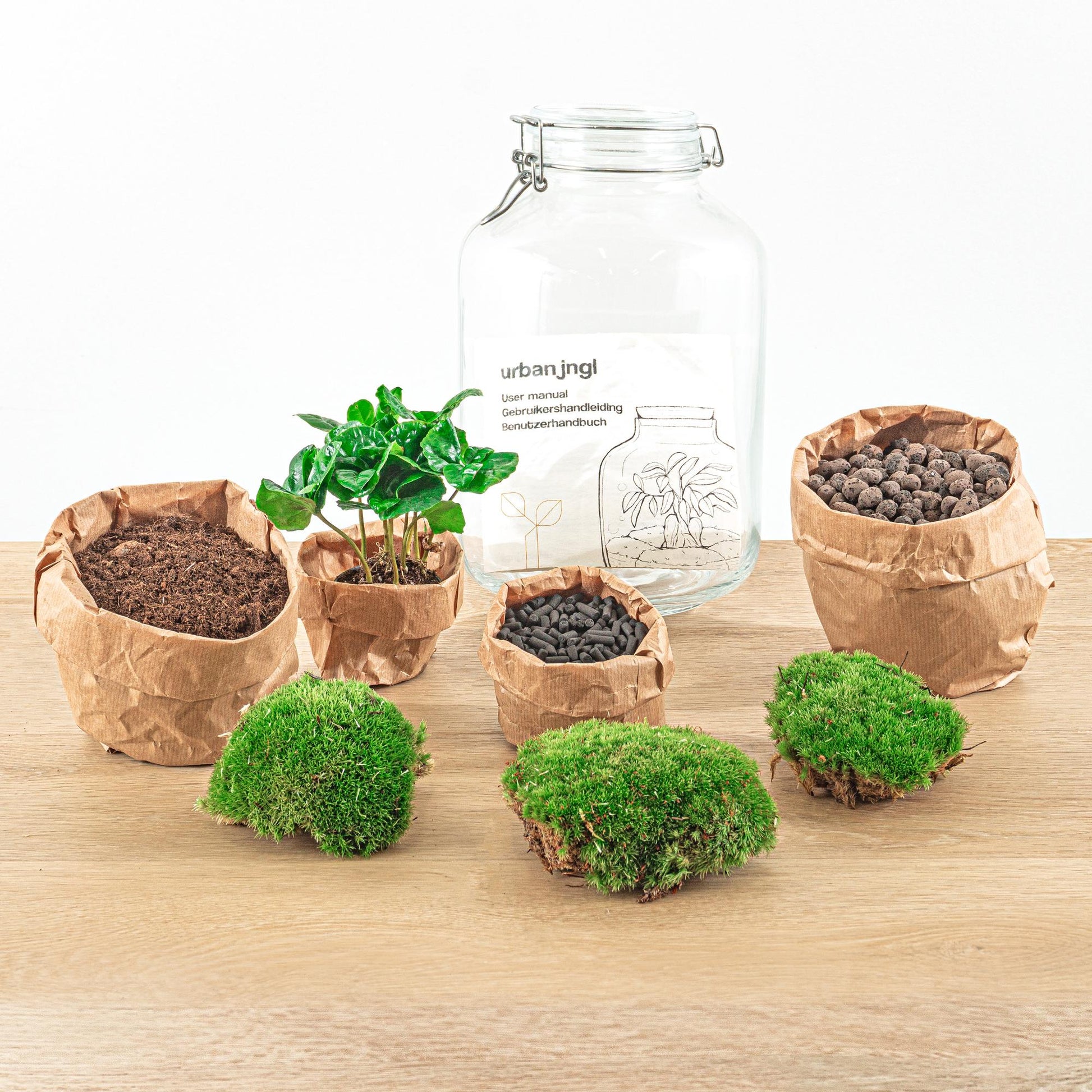 "DIY terrarium met Coffea Arabica in glazen fles met kurk – Ø18 cm x H28 cm – zelfvoorzienend ecosysteem" Voor ouderen, opa's , papa's en kinderen.