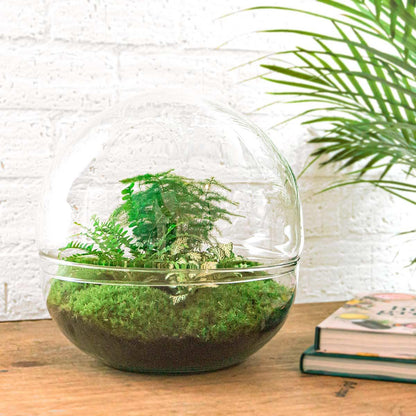 DIY Planten terrarium tweedelig bolglas | Dome XL | Rake + Shovel
