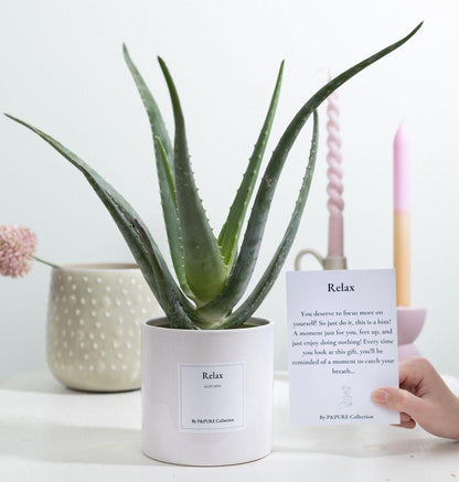 Aloe Vera Gift "Relax" | Met wenskaart