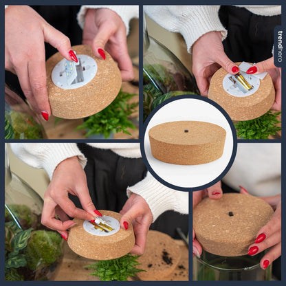 Een LED-kurk is dé must-have voor elke terrarium fles! Verkrijgbaar in drie formaten, brengt deze stijlvolle kurk met LED-verlichting direct sfeer in je terrarium en in iedere ruimte. Het licht laat je planten en mossen stralen en creëert van je terrarium verlichte eyecatcher en lamp om een.