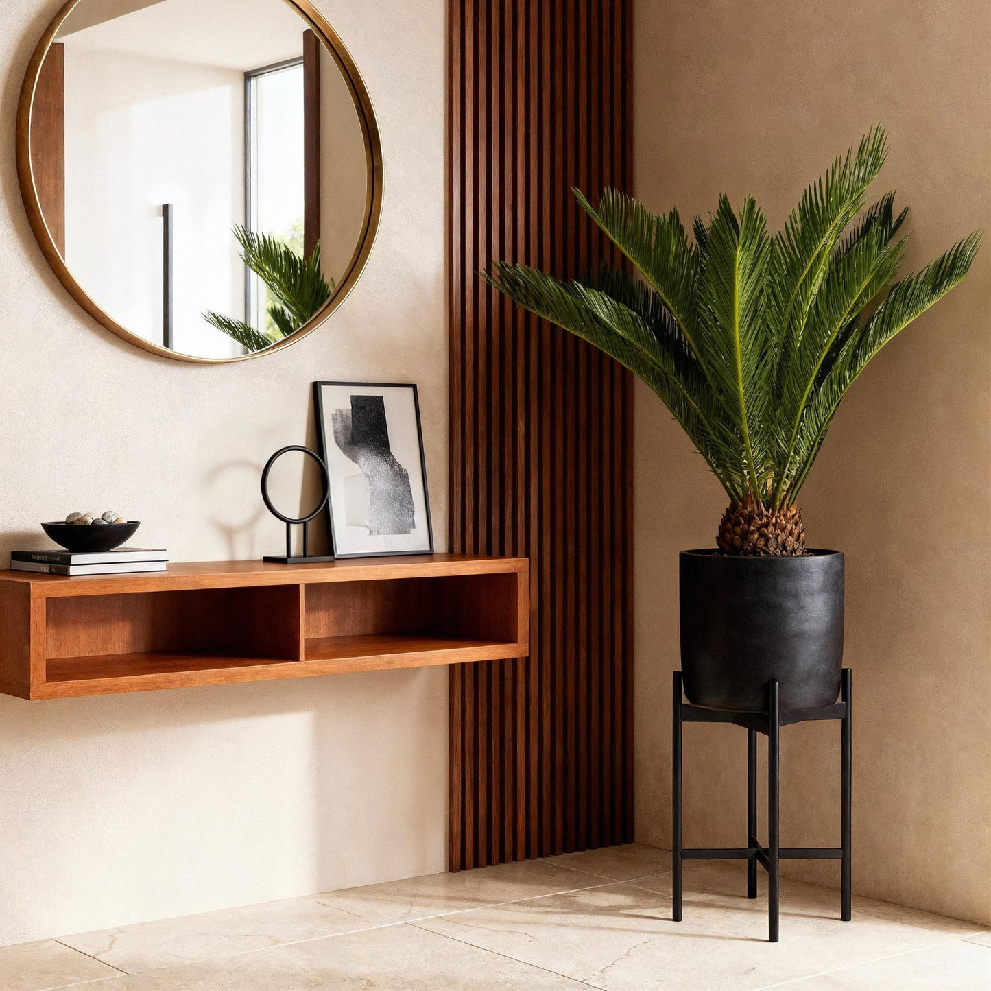 2x Cycas revoluta | Palmvaren | Kamerplant