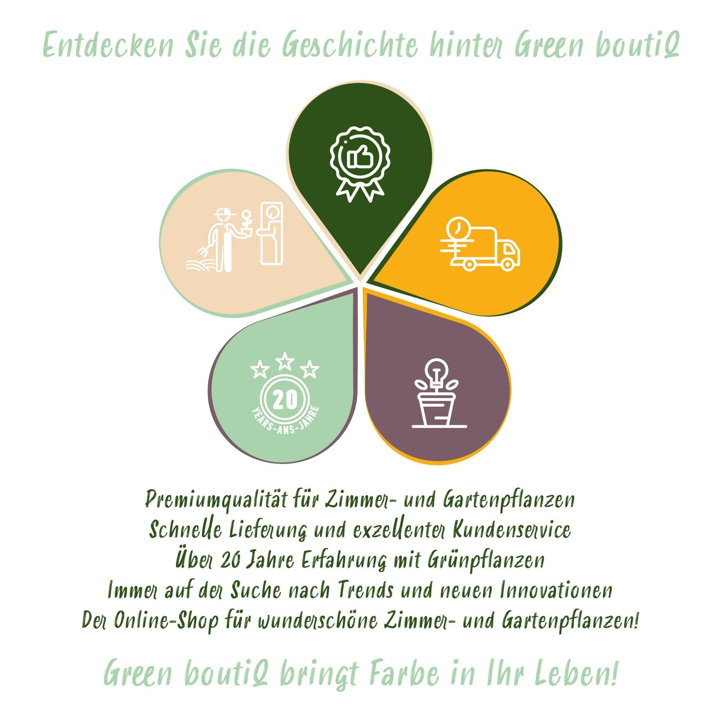 Borderpakket - Schaduw - 8 Vaste planten - 1 m2 - Diversen kleuren - Weinig Onderhoud - Pot 11cm