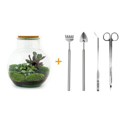 DIY Planten Terrarium met Licht | Inclusief Rake, Shovel, Tweezer en Scissors