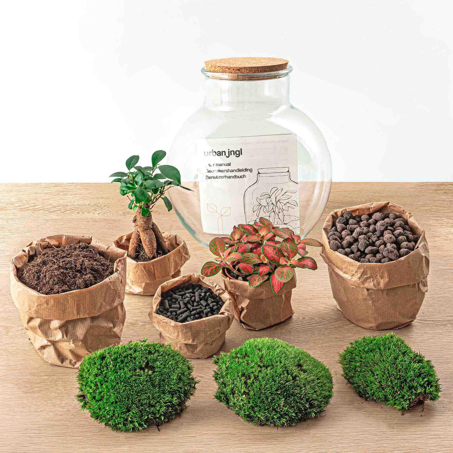 DIY Terrarium met Ficus Bonsai – Zelfvoorzienend Ecosysteem – Ø25 x ↕26,5 cm met - Rake + Shovel