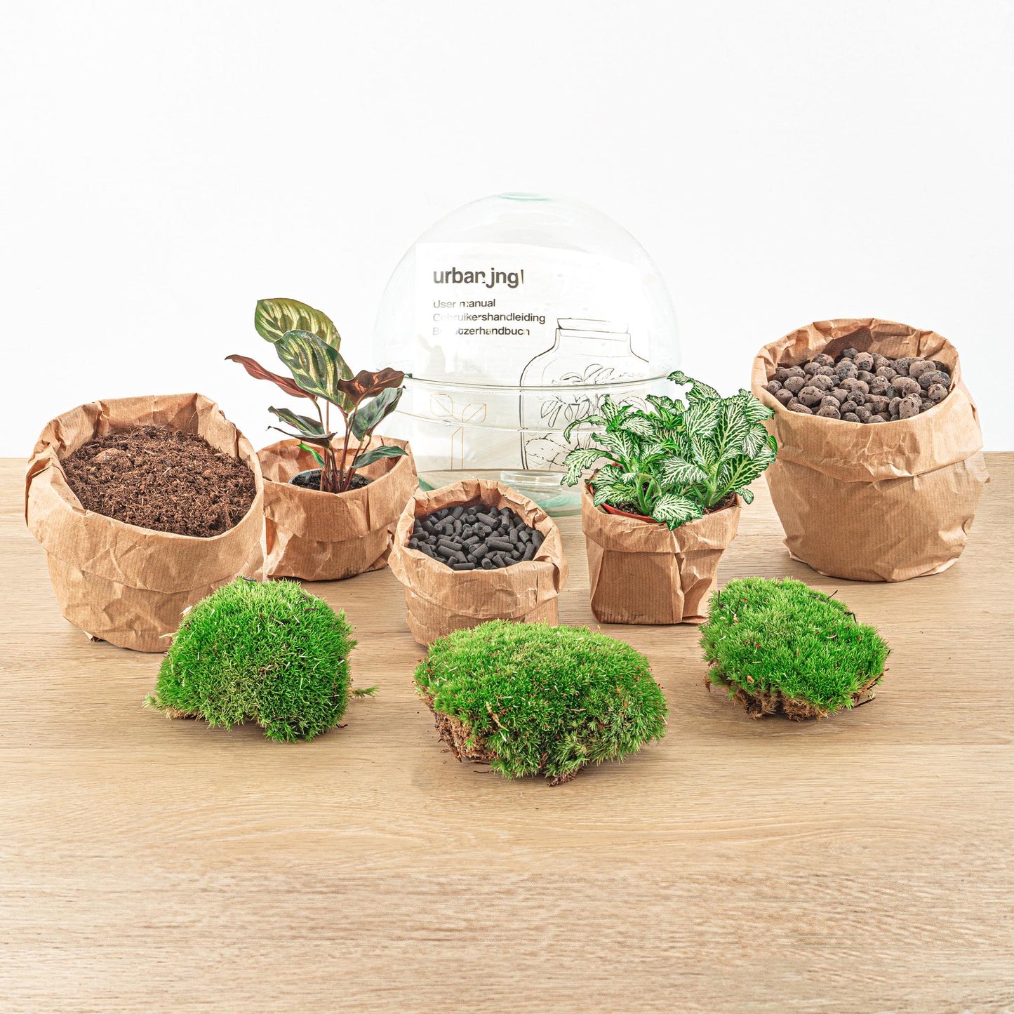 DIY Planten terrarium tweedelig bolglas | Dome