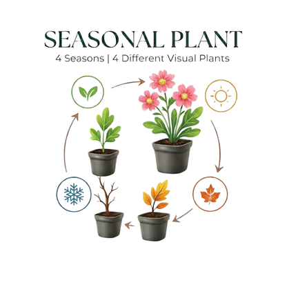 Prairieplant met paarse bloemaren voor zonnige border