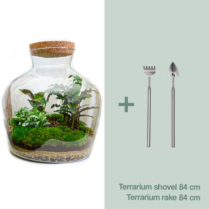 Glazen terrarium met tropisch groen en verlichting.