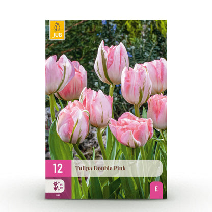 Roze Double Pink tulpenbollen 12 stuks, bolmaat 11/12, luxe dubbele tulp voor border en bloembak