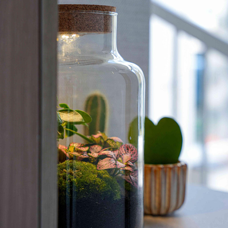 'LOVE MOM' terrarium Little Milky + gegraveerde kurk met licht | Fles terrarium DIY kit | Moederdag