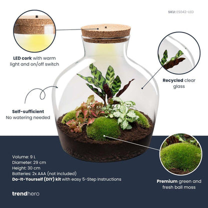 DIY Planten terrarium met licht | Fat Joe Red