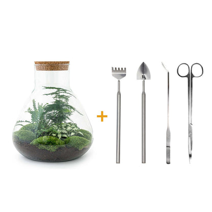 DIY Planten terrarium met licht | Sam XL Green. Planttoday