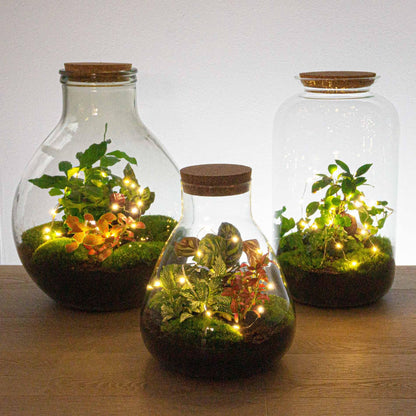 Draadverlichting op batterijen 1 meter 20 warm | witte ledlampjes