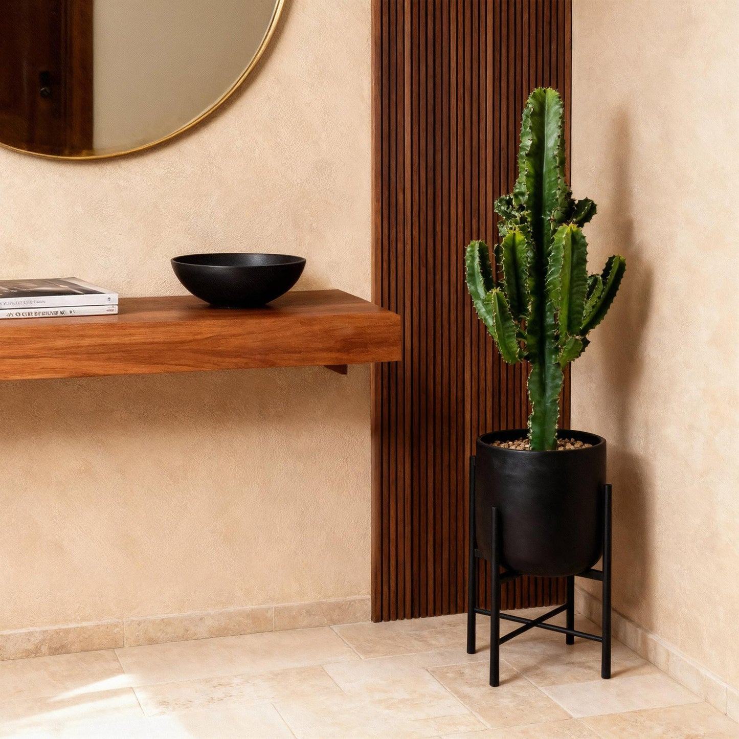 2 x Euphorbia eritrea Kamerplant | Afrikaanse melkboom | Cactus