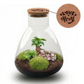 'LOVE MOM' terrarium Sam + gegraveerde kurk met licht - Fles terrarium DIY kit | Moederdag
