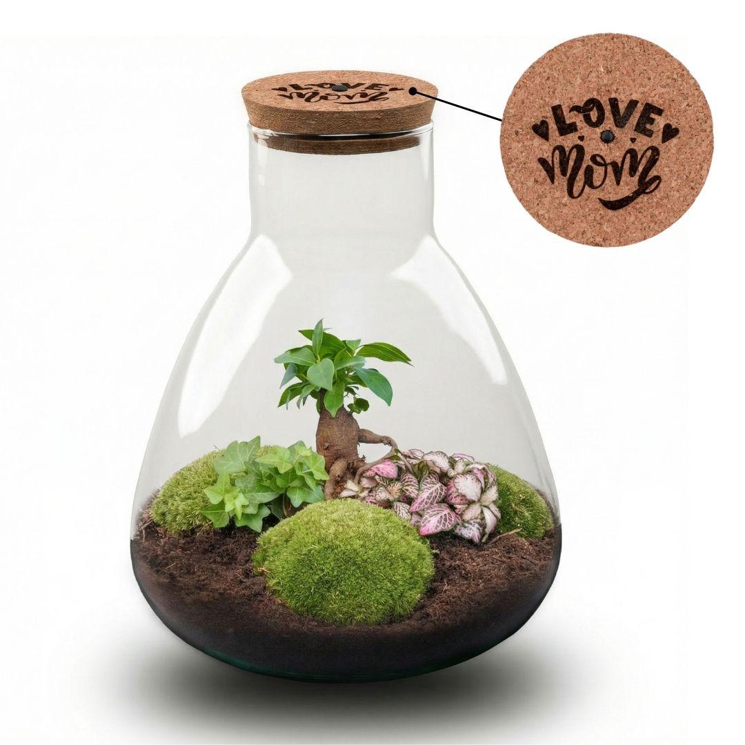 'LOVE MOM' terrarium Sam + gegraveerde kurk met licht - Fles terrarium DIY kit | Moederdag