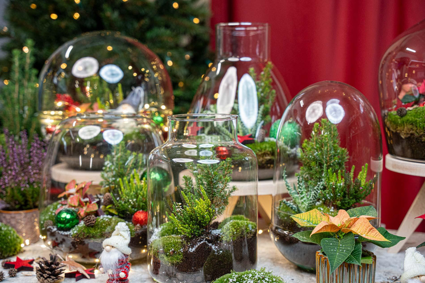 Berry Kerstmis Terrarium | DIY Planten Terrarium