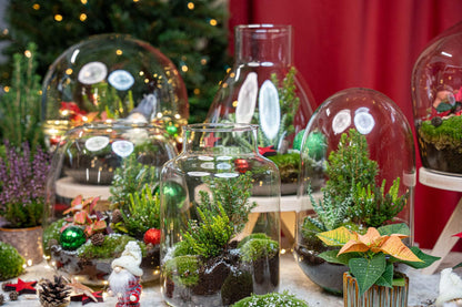 Berry Kerstmis Terrarium | DIY Planten Terrarium