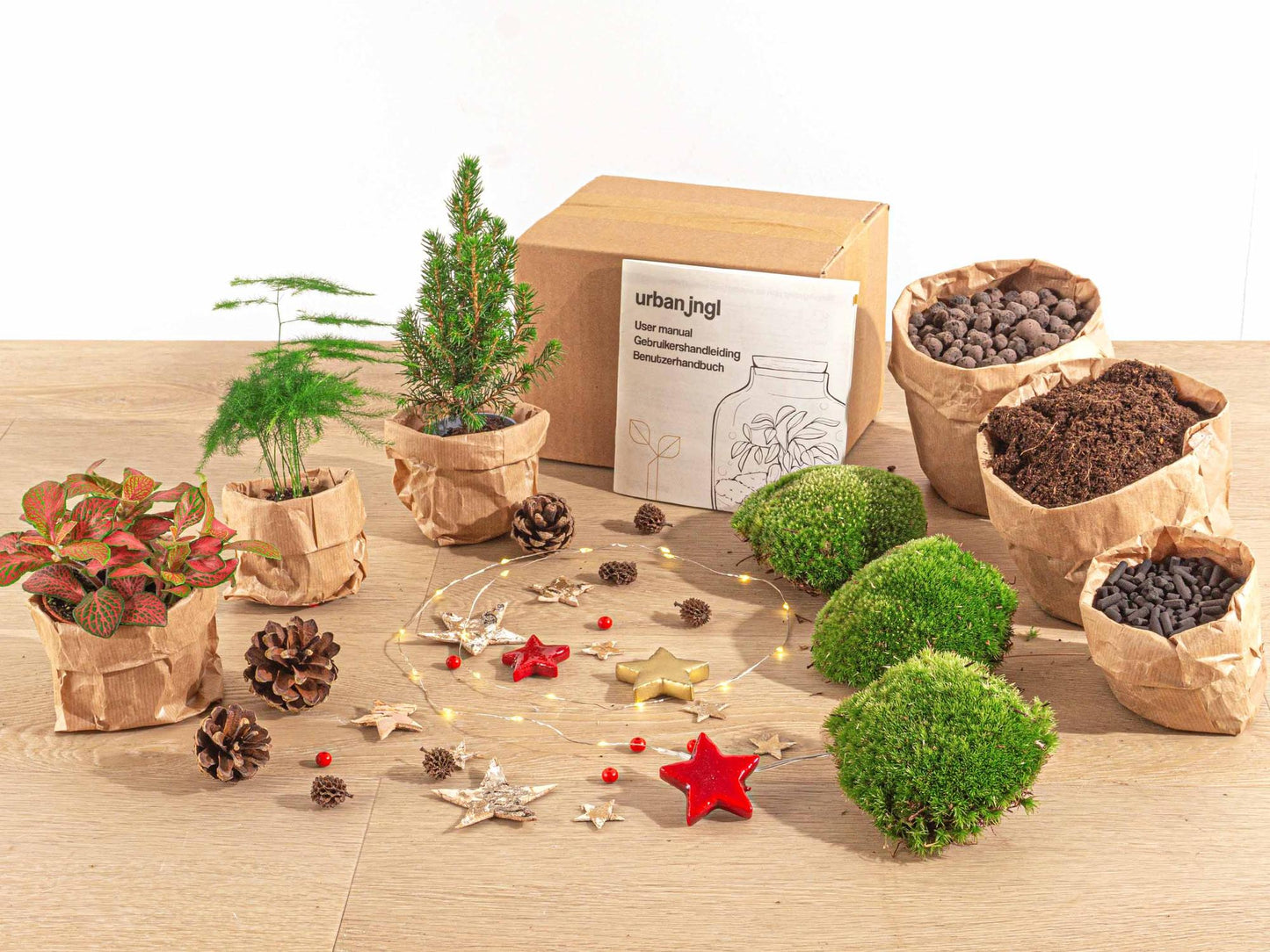 DIY kerst terrarium pakket met mini-kerstboom en drie planten. Planttoday