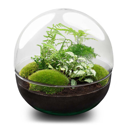 Groot DIY terrarium met groene planten