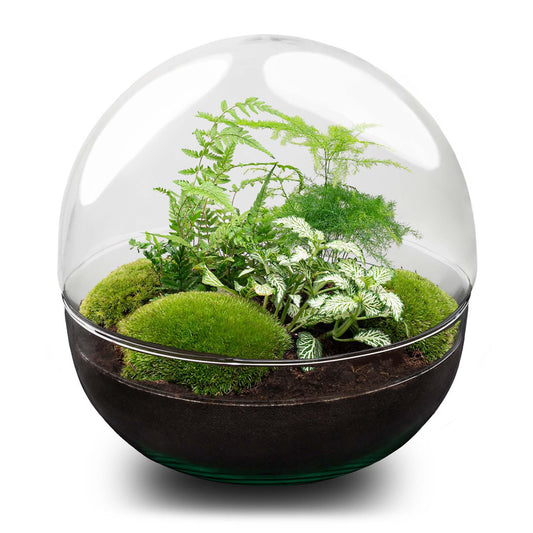 Groot DIY terrarium met groene planten