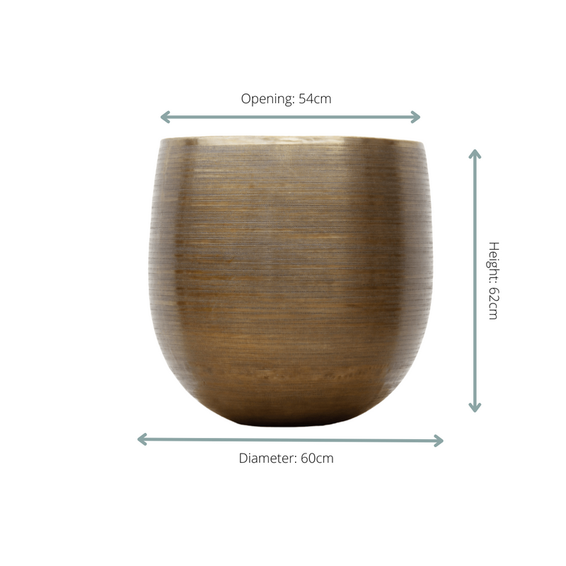 Rowen gold | Binnenpot