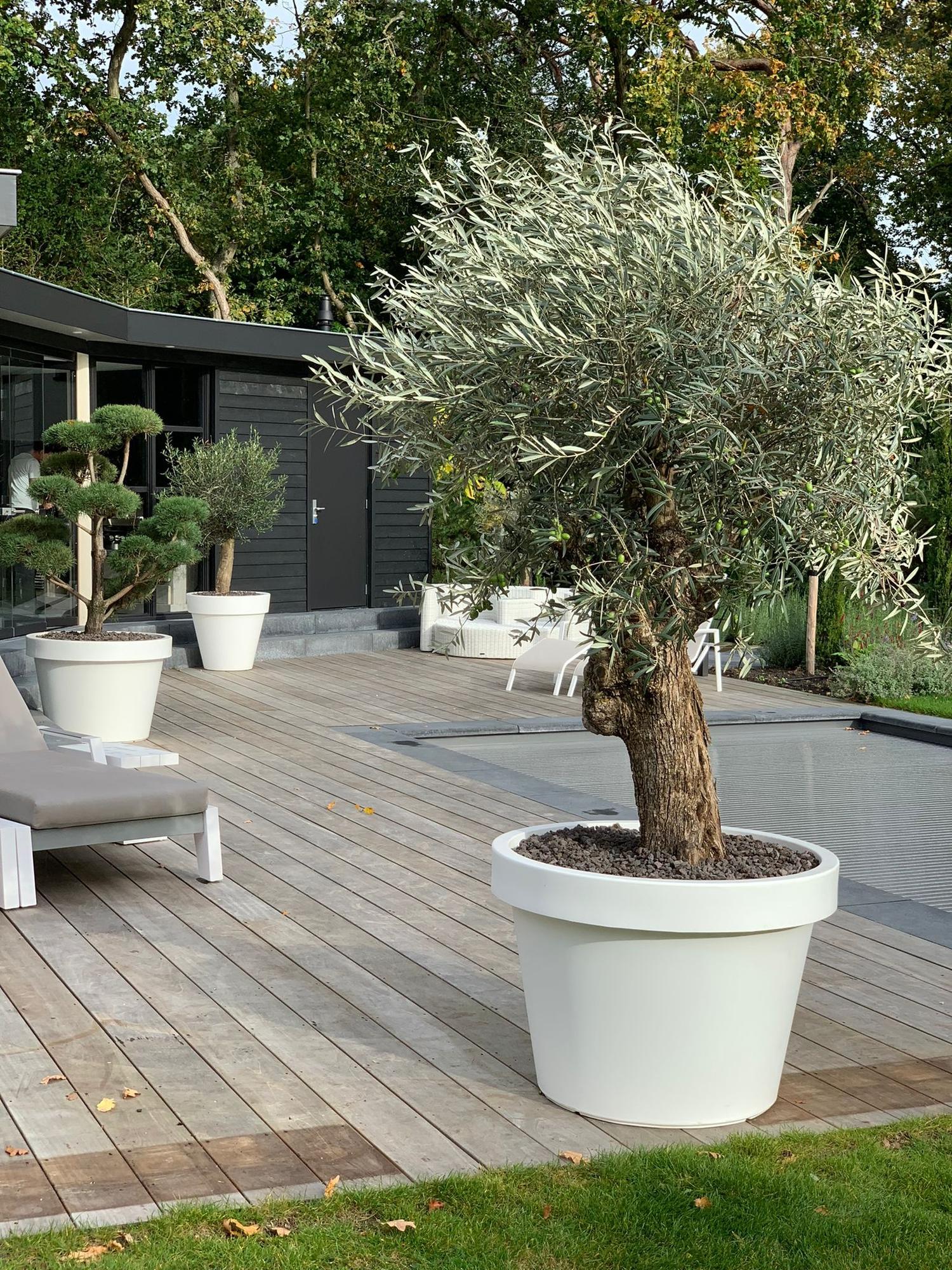 Grote witte interieur bloempot voor kamerplanten