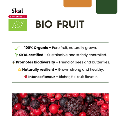 Set van 6 Biologische Frambozenplanten – 13 cm Pot – 20 cm Hoog – Heerlijk Zomerfruit