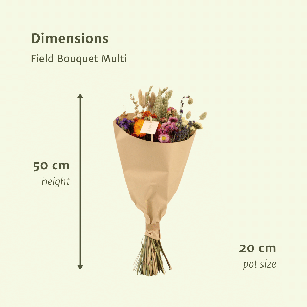 Dried flowers Field Bouquet Multi - Ø20cm - ↕50cm