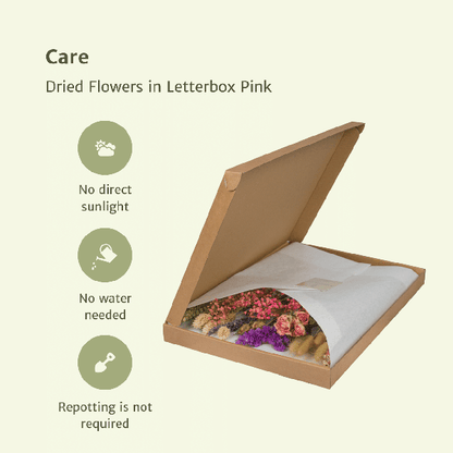 Dried flowers in Letterbox - Pink