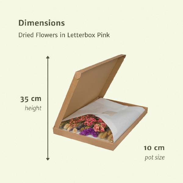 Dried flowers in Letterbox - Pink