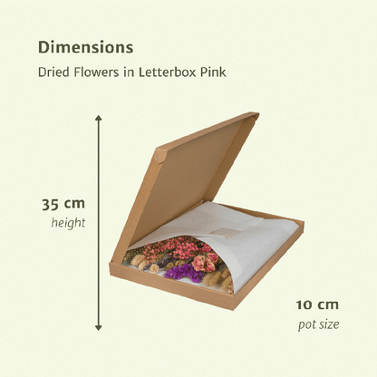 Dried flowers in Letterbox - Pink