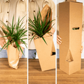 5 x Verrassingsbox | Kamerplanten - Planttoday