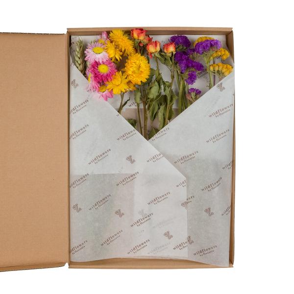 Dried flowers - Flowers in Letterbox - Multi - 5 pieces - ↕30cm