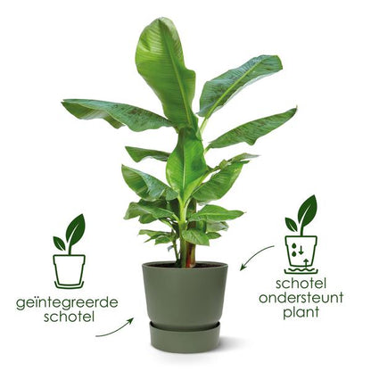 Pot elho Greenville Round green - D39 x H37